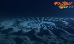 underwater-mystery-circle-11-580x348.jpg