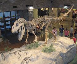576px-museum_al_dinosaur.jpg